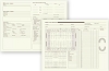 child tooth charts