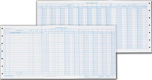 Compatible with Deluxe Personal Accounting System 