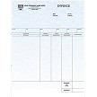 Professional Invoice 