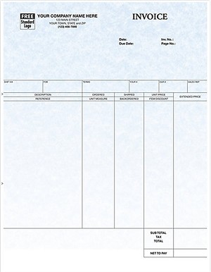 Professional Invoice 