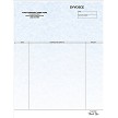 Professional Invoice 