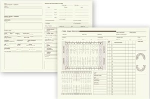 child tooth charts 