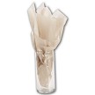Champagne Pearlesence 20 x 30 Tissue Paper 
