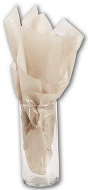 Champagne Pearlesence 20 x 30 Tissue Paper 