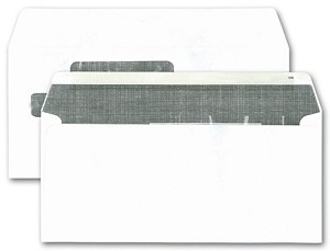 Double Window 9 1/2 x 4 1/8 Envelope 