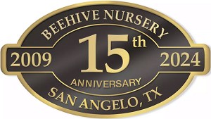 Digital Anniversary Seal 