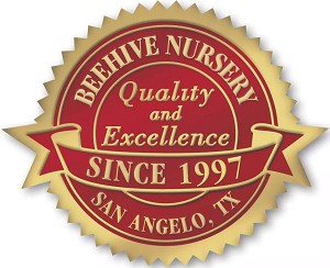 Years of Excellence Digital Seal 
