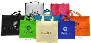 Non Woven 10 x 5 x 10 Shopper 