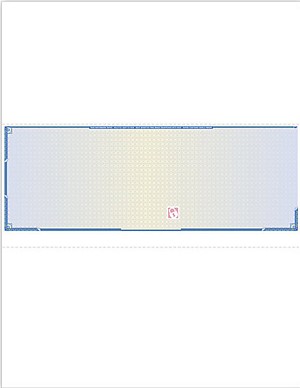 Extra Security Blank Check Stock Middle Check 