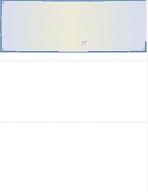 Extra Security Blank Check Stock 