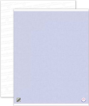 Blank High Security Paper 