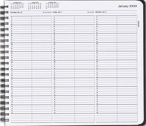 Appointment book features a 2 Column Format 
