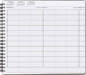 Convenient 3 Month Calendar on each page 